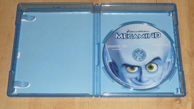 Megaagy
