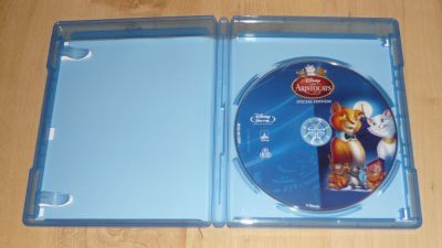 Macskarisztokraták
