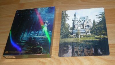 Vándorsólyom kisasszony különleges gyermekei (BD3D + BD)
